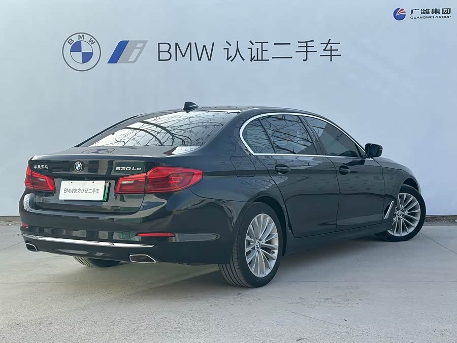 BMW 5 Series New Energy 2020 car image #6