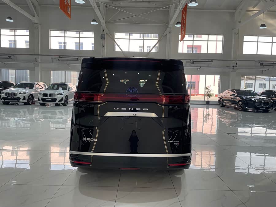 Denza D9 2025 imagen de coche #6