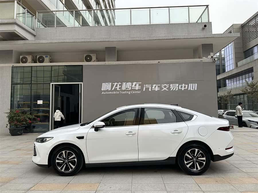 BYD Qin Plus 2025 car image #6
