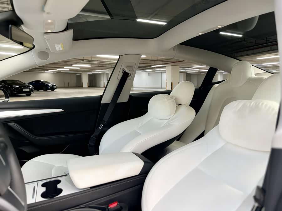 Tesla Model 3 2023 immagine di auto #6