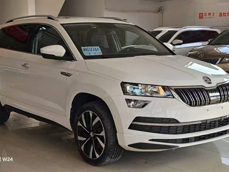 Skoda Karoq 2021 car image #6