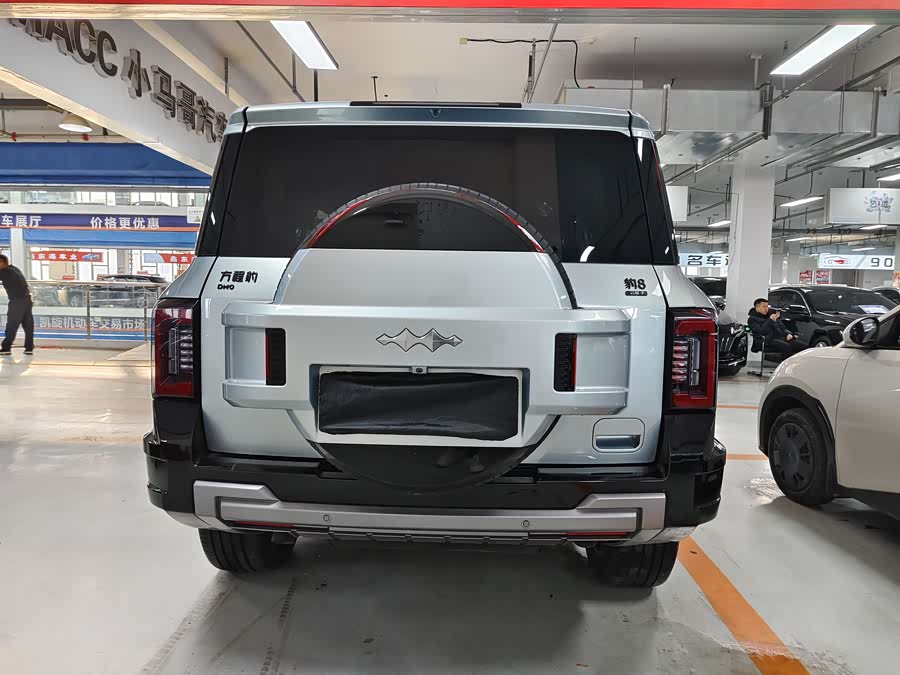 FangChengBao Leopard 8 2024 car image #6
