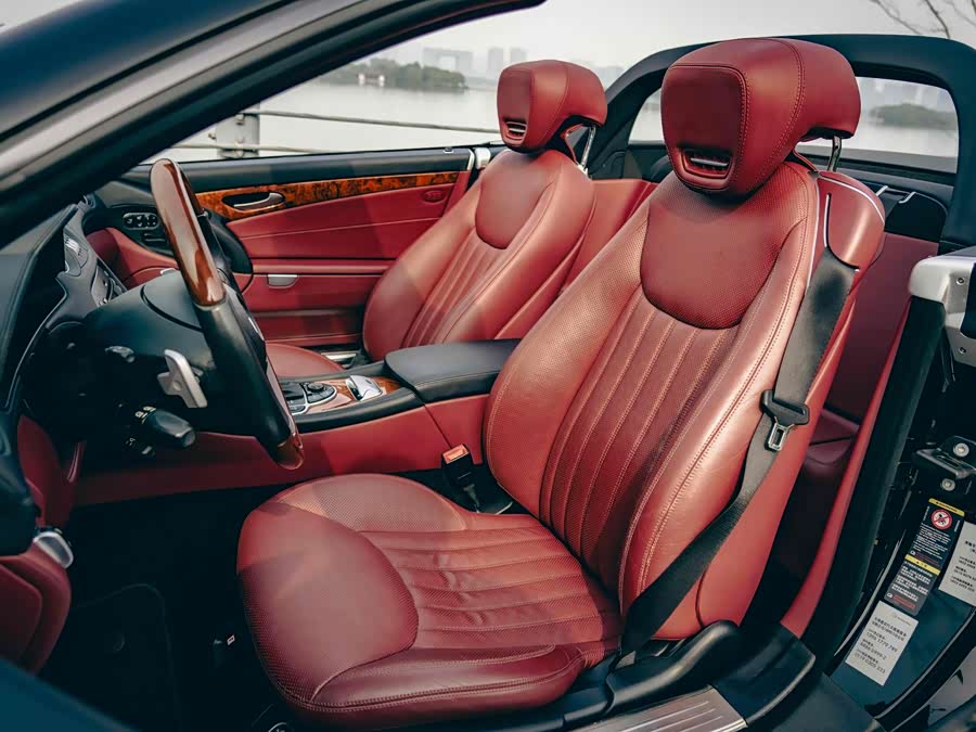 Mercedes-Benz SL Class 2009 car image #6