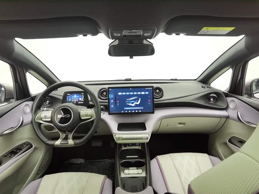 BYD Dolphin 2023 car image #6