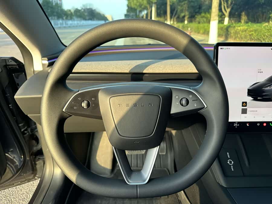 Tesla Model 3 2024 car image #6