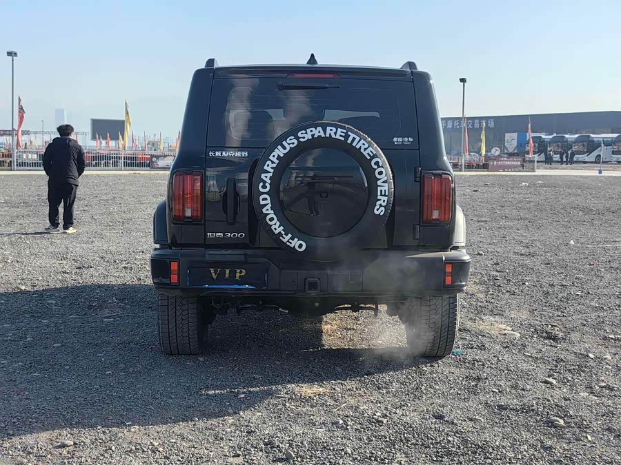 Tank 300 2024 car image #6