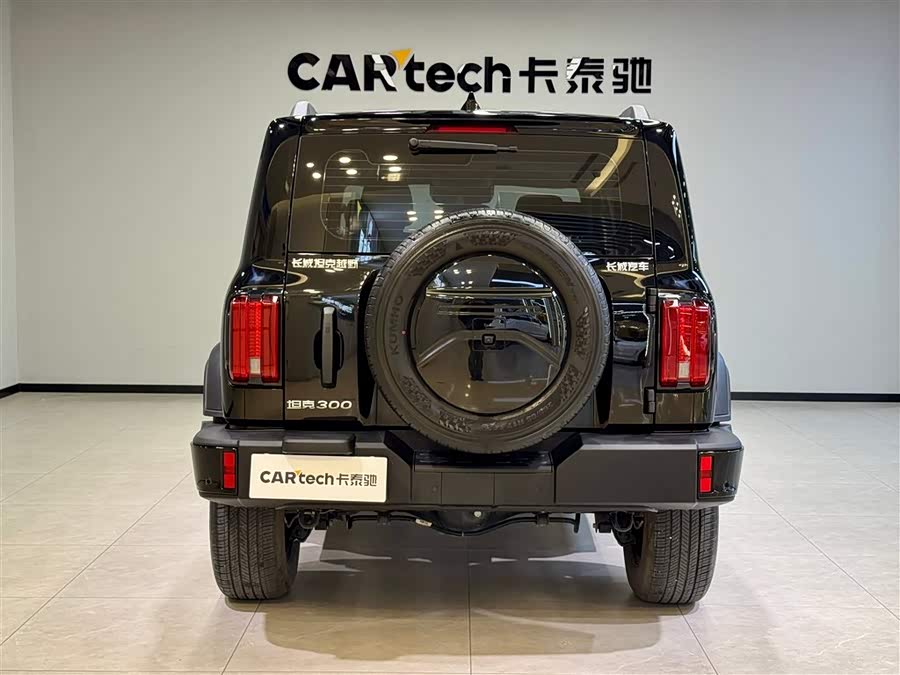 Tank 300 2024 car image #6