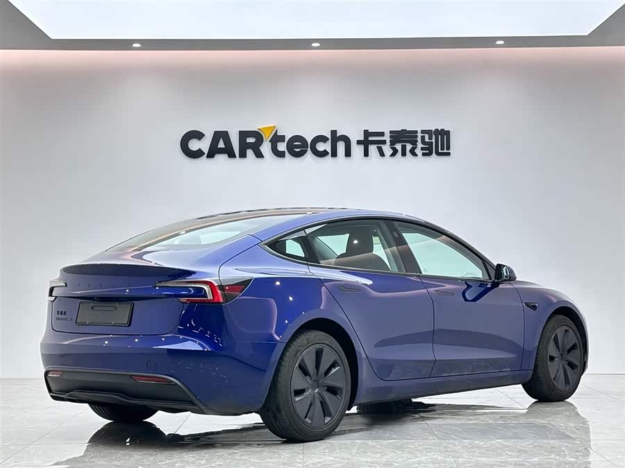 Tesla Model 3 2020 car image #6