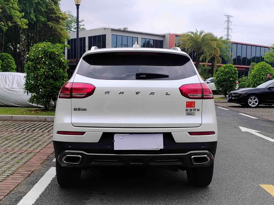 Haval H6 2019 car image #6