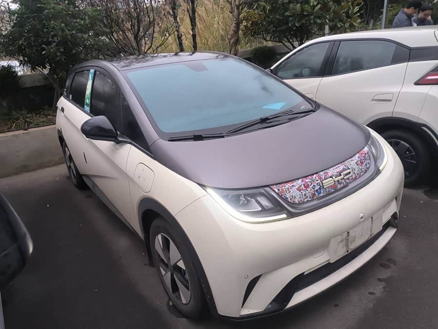 BYD Dolphin 2023 #6 BYD Dolphin 2023 immagine di auto #6