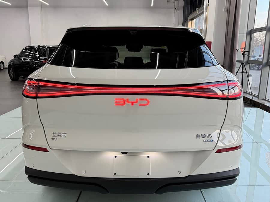 BYD Sea Lion 06 New Energy 2025 car image #6