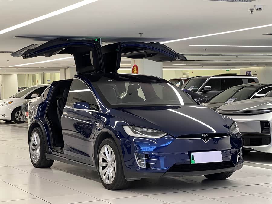 Tesla Model X 2017 car image #6