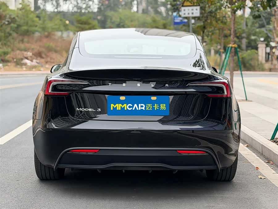 Tesla Model 3 2024 car image #6