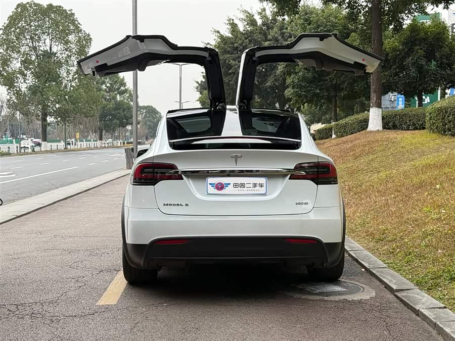 Tesla Model X 2019 car image #6