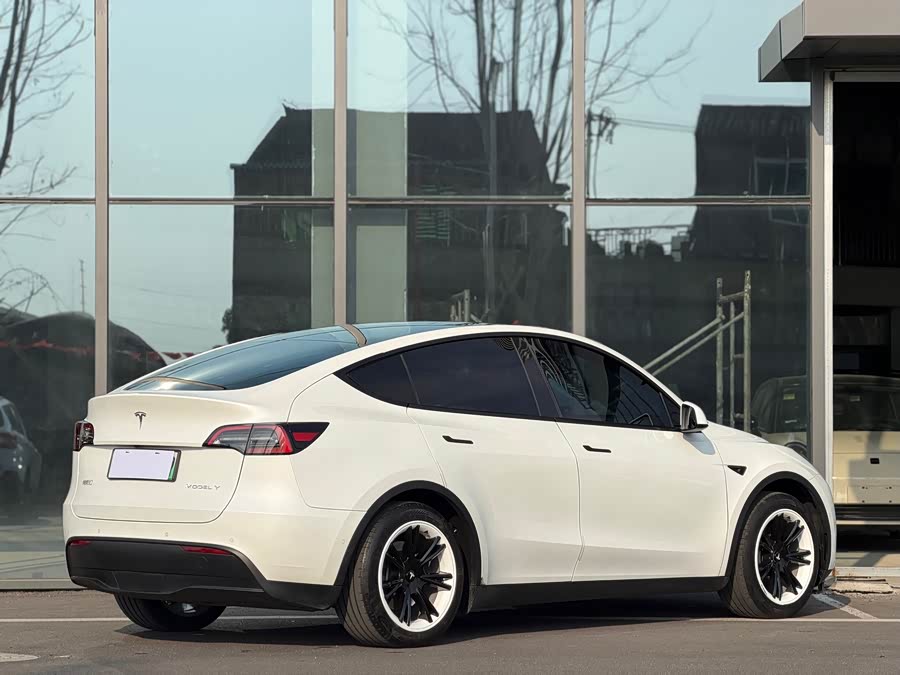 Tesla Model Y 2023 #6 Tesla Model Y 2023 car image #6