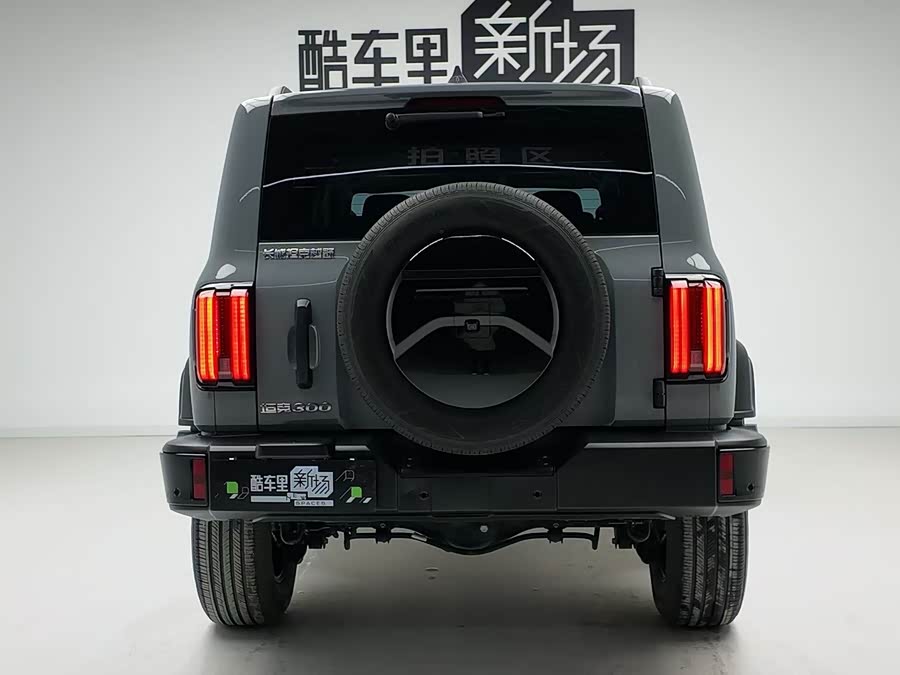 Tank 300 2025 #6 Tank 300 2025 car image #6