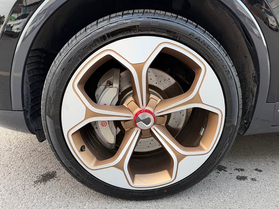 Denza X 2021 car image #6