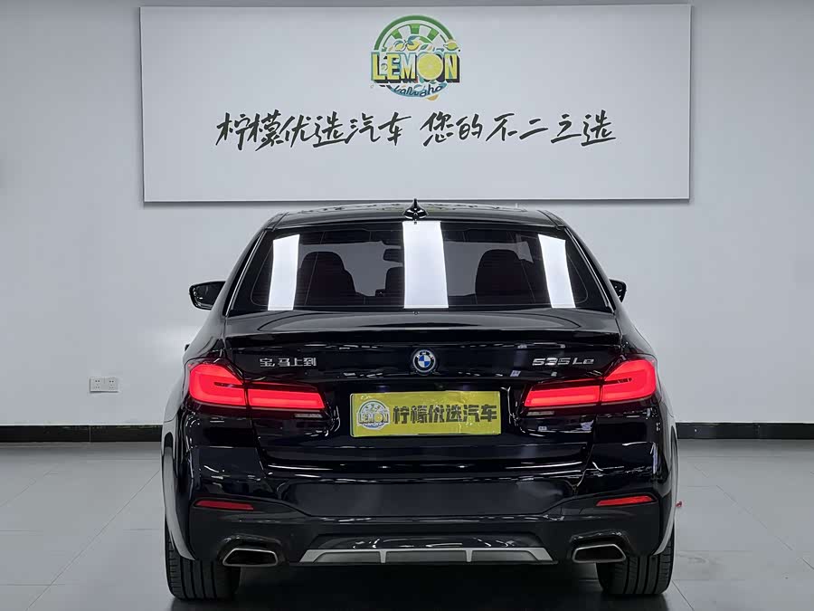 BMW 5 Series New Energy 2021 car image #6