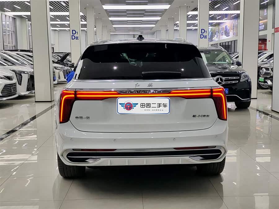 HongQi E-HS9 2024 image de voiture #6
