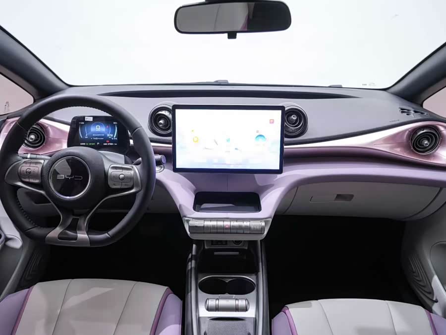 BYD Dolphin 2023 immagine di auto #6