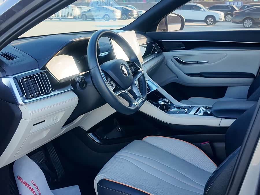 BYD Song Plus New Energy 2022 car image #6