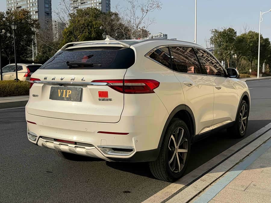 Haval F7 2019 car image #6