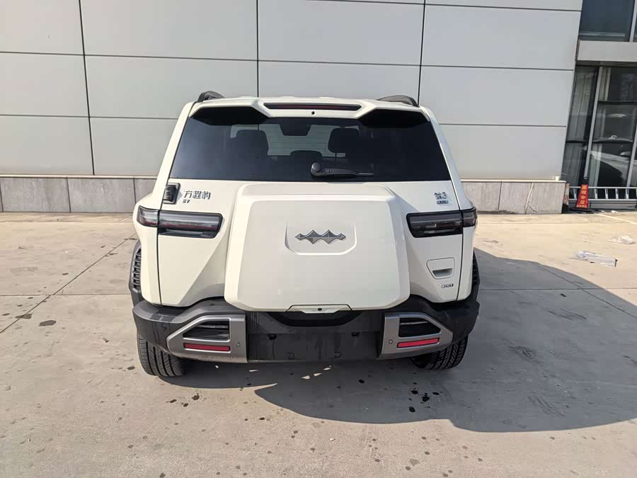 FangChengBao Tiger 3 2025 صورة سيارة #6