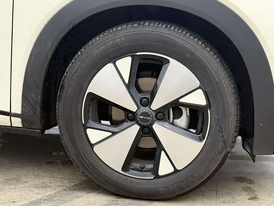 BYD Dolphin 2023 immagine di auto #6