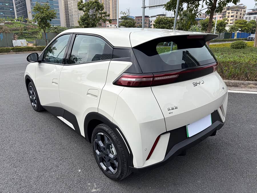 BYD Seagull 2024 #6 BYD Seagull 2024 صورة سيارة #6