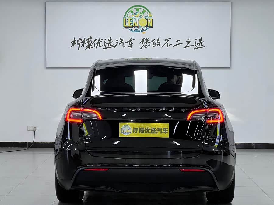 Tesla Model Y 2022 car image #6