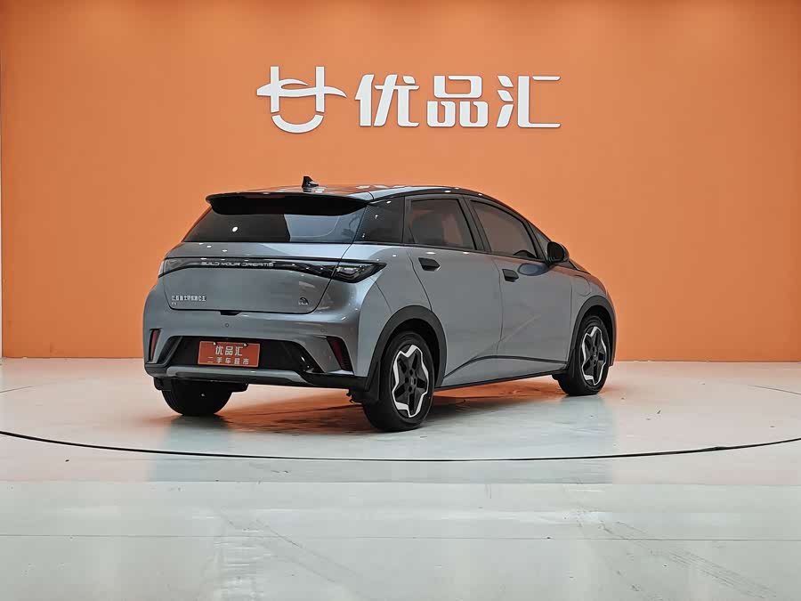BYD Dolphin 2022 car image #6
