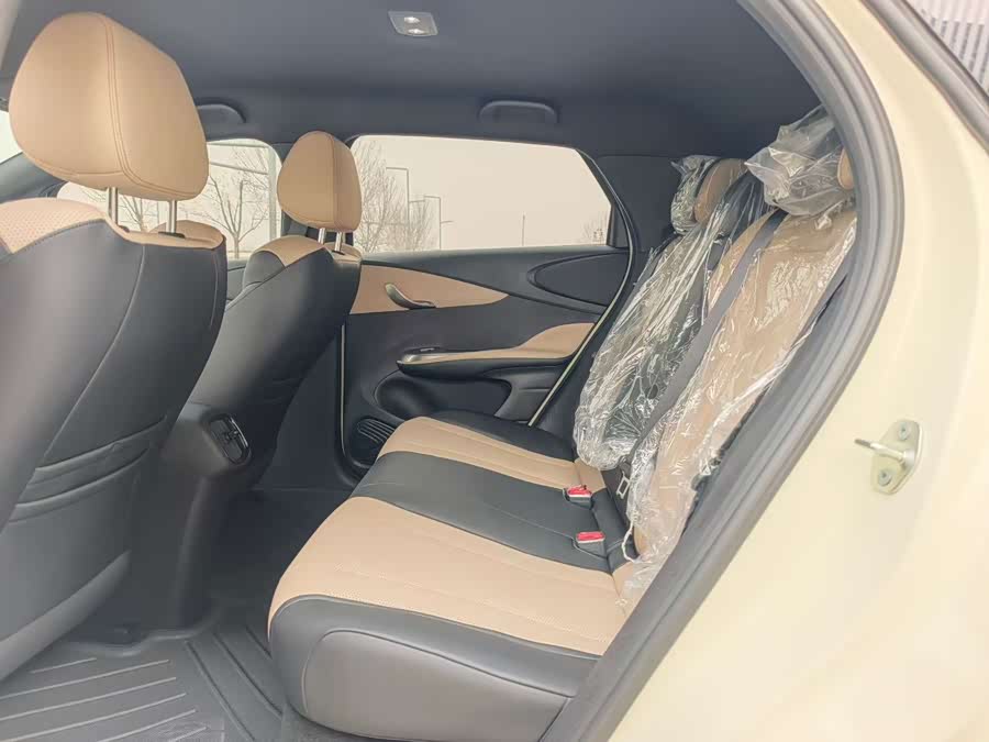 BYD Dolphin 2025 car image #6