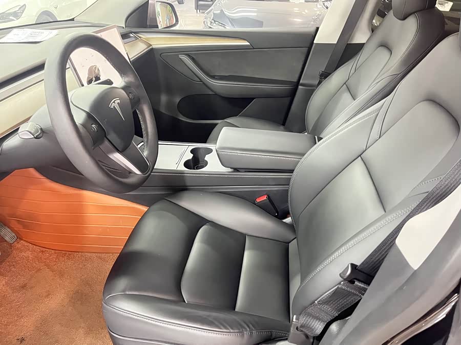 Tesla Model Y 2021 car image #6