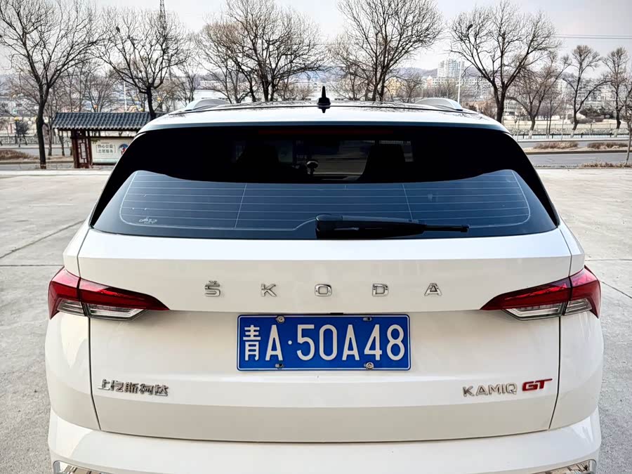 Skoda Kamiq 2022 imagem de carro #6