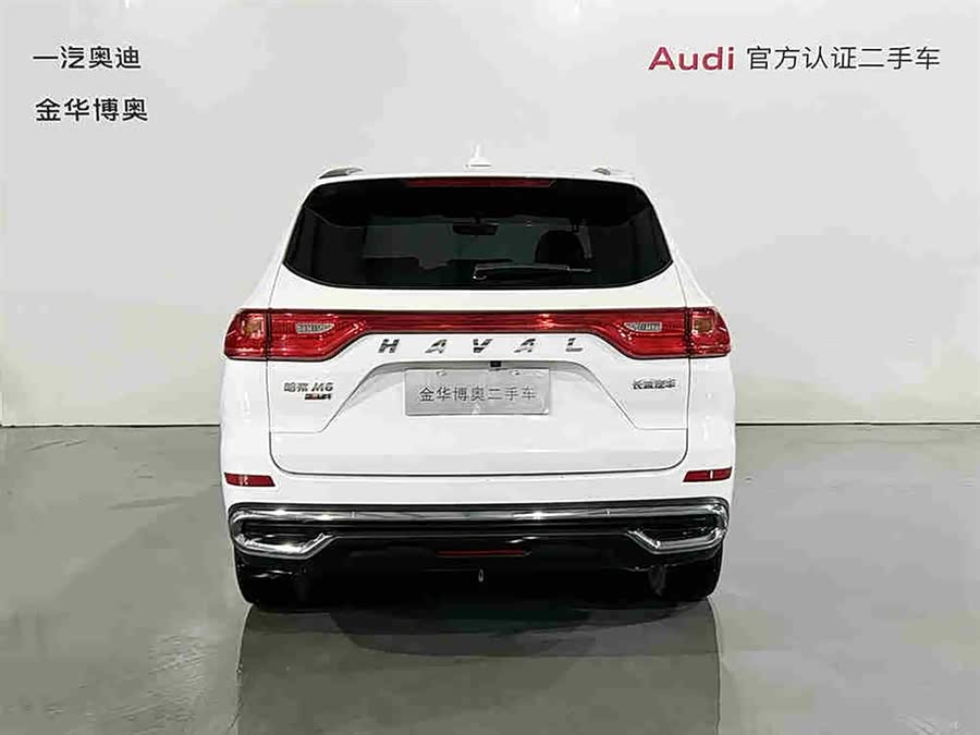Haval M6 2022 #6 Haval M6 2022 car image #6