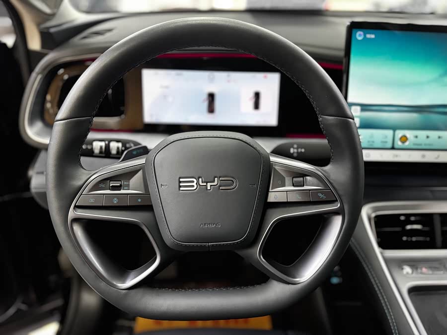 BYD Sea Lion 07 DM-i 2025 car image #6