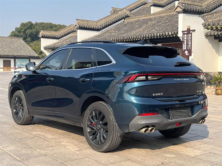 Forthing T5 EVO 2022 car image #6