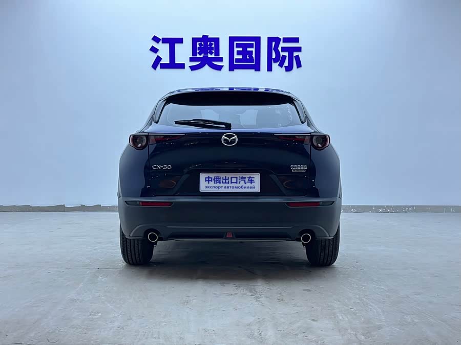 Mazda CX-30 2021 car image #6