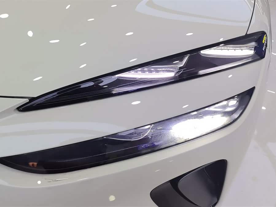 BYD Sea Lion 06 New Energy 2025 car image #6