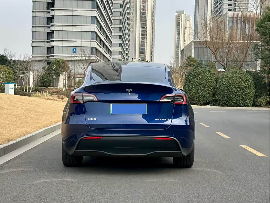 Tesla Model Y 2021 car image #6