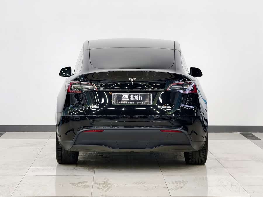 Tesla Model Y 2023 car image #6