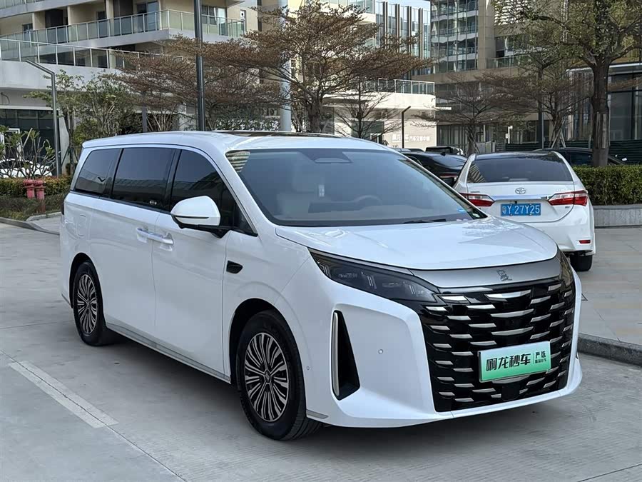 BYD Xia 2024 imagen de coche #6