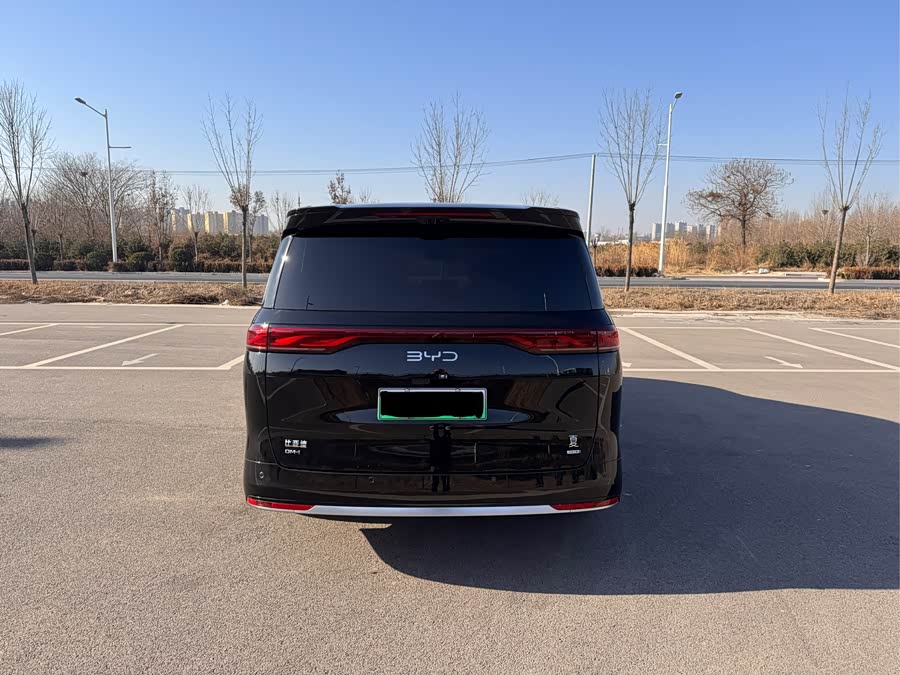 BYD Xia 2024 imagen de coche #6