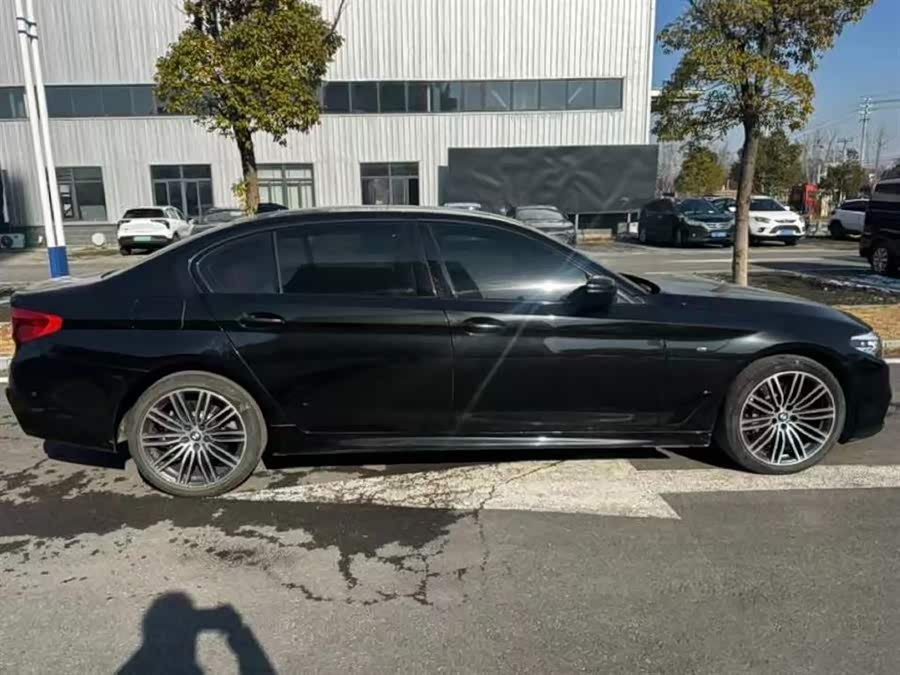 BMW 5 Series 2018 car image #6