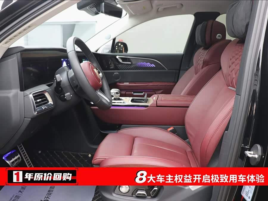 HongQi E-HS9 2023 immagine di auto #6