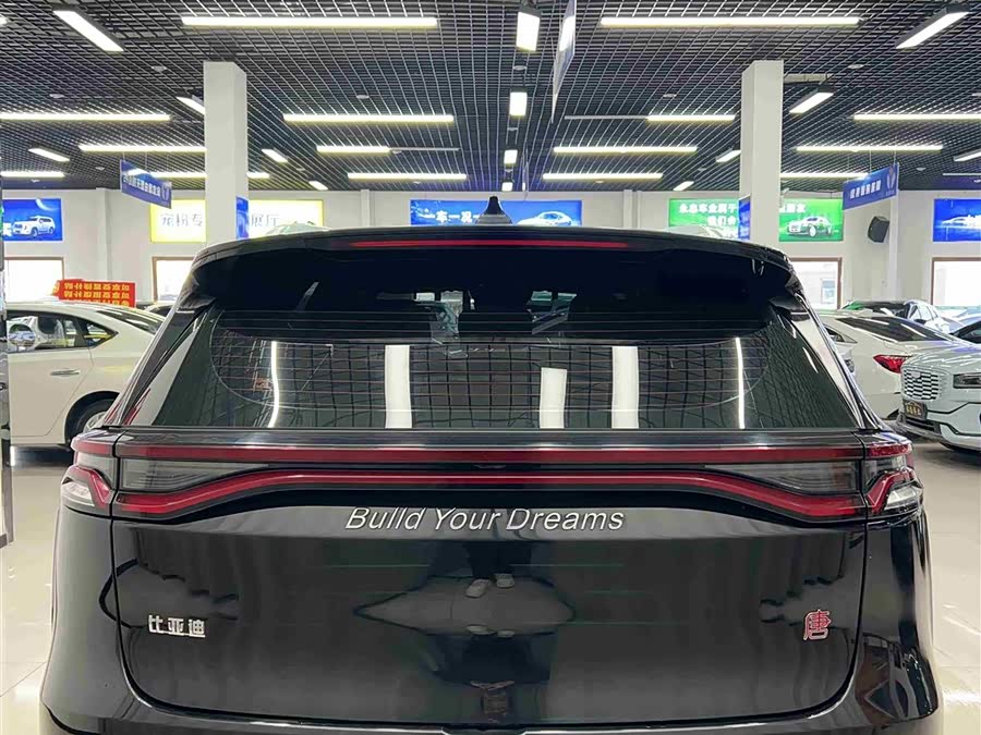BYD Tang 2019 car image #6