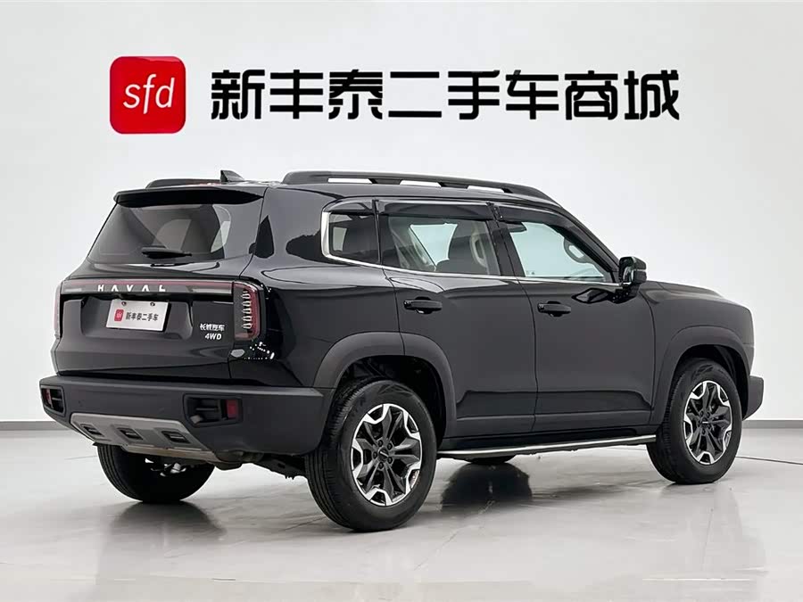 Haval X Dog / Dargo 2023 car image #6