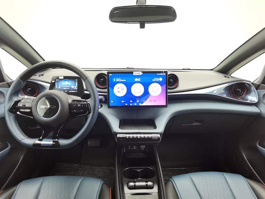 BYD Dolphin 2022 #6 BYD Dolphin 2022 immagine di auto #6