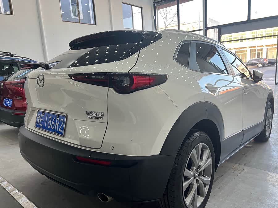 Mazda CX-30 2022 car image #6