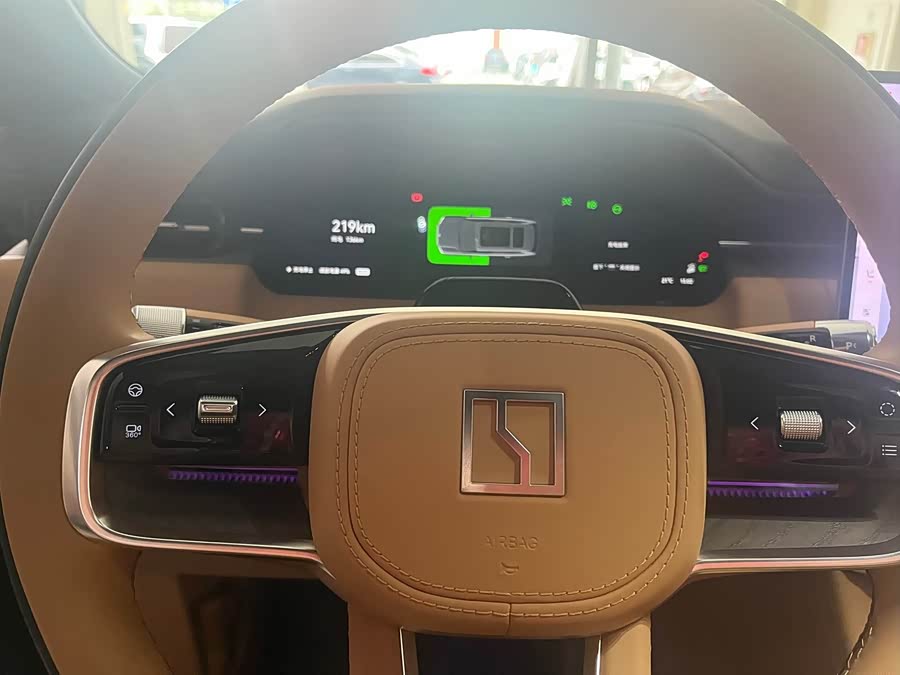 Zeekr 9X car image #6